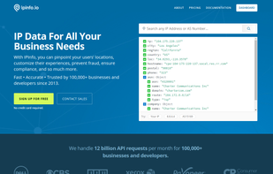 ipinfo.io screenshot 1