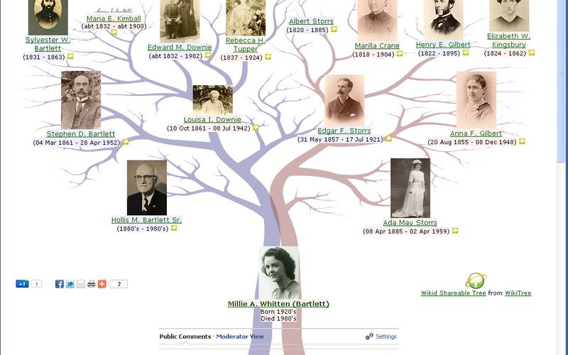 Family History Chart - Legacy Tree