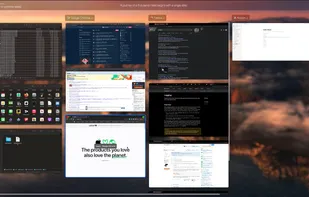 Taken from the app video