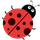 Bug Matrix icon