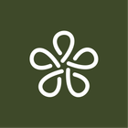 High5 icon