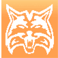 Neko icon