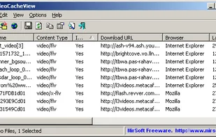VideoCacheView screenshot 1