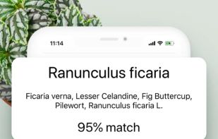 Plant ID Match screenshot 1