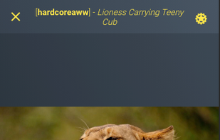 Let the content auto-cycle for you or take control, and upvote, downvote, or save it to your account.