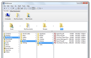 WinBrowser screenshot 1