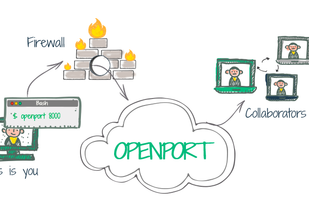 Openport screenshot 1