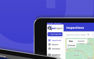 QuickInspect screenshot 1