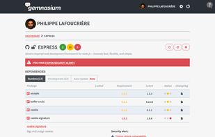 Gemnasium screenshot 3