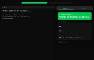 interactive terminal lesson
