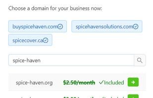 Domain selection options for the user