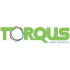 Torqus Systems icon