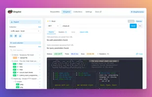 Request editor in Slingshot.