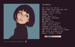 Neofetch screenshot 1