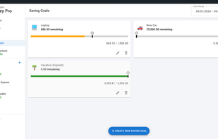 Ashampoo Money Pro screenshot 1