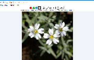 Veneta Viewer screenshot 1