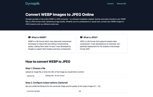 Dynapik screenshot 1