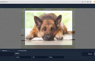 Crop Image Interface-ImgSmaller's advanced cropping tool lets users easily select a specific area of their image before compressing. Features include manual width/height input, aspect ratio lock, rotate, and reset. Designed for precision and ease of use, especially helpful for ID photos and document scans.