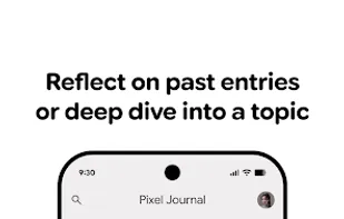 Google Journal screenshot 1