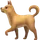 Placedog icon