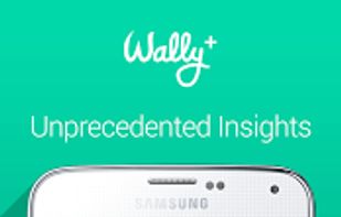 Wally-Smart Personal Finance screenshot 1