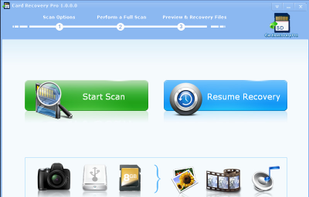 LionSea CardRecoveryPro screenshot 1