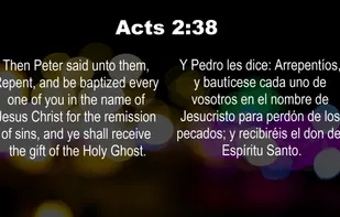 Multilingual
Present two languages side-by-side