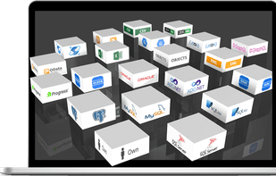 Flexible data connectivity with over 40 data providers for .NET, custom data sources and FireDAC support.