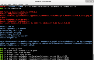 Cobalt Strike screenshot 3
