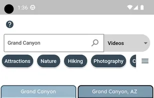 The video search screen.
