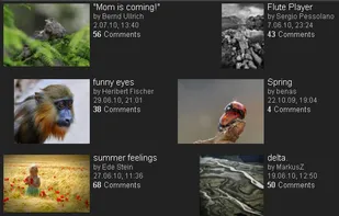 Gallery: Europe's best photos