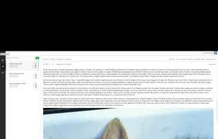 Easily preview all content entries