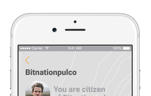 Bitnation screenshot 3