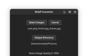 WebP Converter screenshot 1