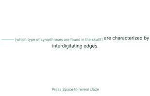Flashcard Part Of the App