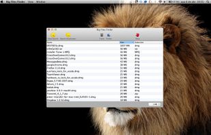 Big Files Finder screenshot 1