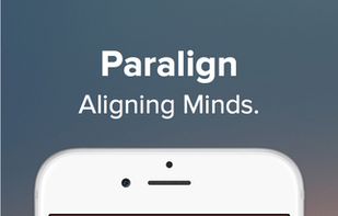 Paralign screenshot 1