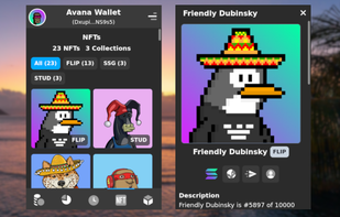Avana Wallet screenshot 1