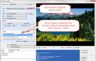 Medialooks MFormats SDK screenshot 1