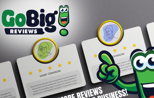 Go Big Reviews Demo