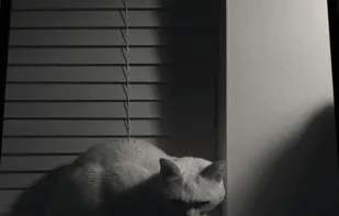 Obscura — Pro Camera screenshot 3