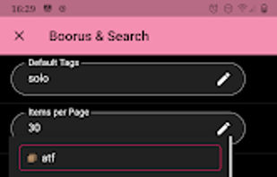 LoliSnatcher screenshot 1