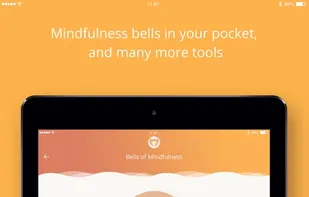 Plum Village screenshot 3