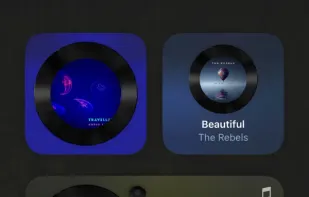 WidgetPod screenshot 3