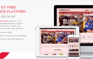 Tibolli.NET screenshot 1