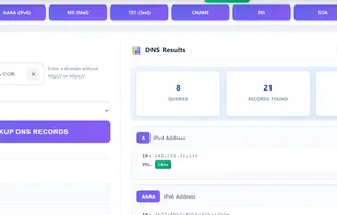 DNS lookup tool screen showing a query for google.com: on the left, domain and DNS server selection with a “Lookup DNS Records” button; on the right, a results summary (queries, records found, response time) and detailed DNS record cards (A, AAAA, etc.).