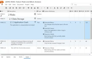 Manage Project Risks