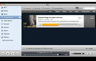Miro Player screenshot 3