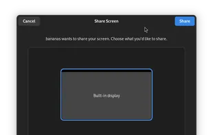Bananas Screen Sharing screenshot 1