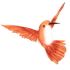 That Li'l Hummingbird icon